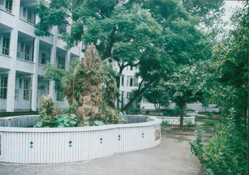 內(nèi)江十三中地址在哪？