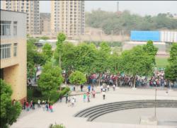 南溪區(qū)第一中學(xué)地理位置在哪？