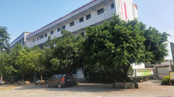 隆昌八中怎么樣？