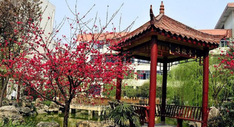 蜀城中學(xué)2020年中考錄取分?jǐn)?shù)線是多少？