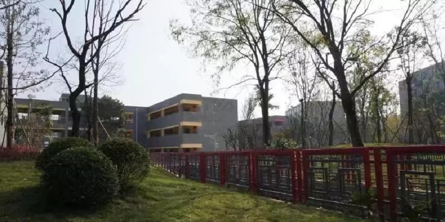 成都綿實外國語學(xué)校2020年升學(xué)率怎么樣？