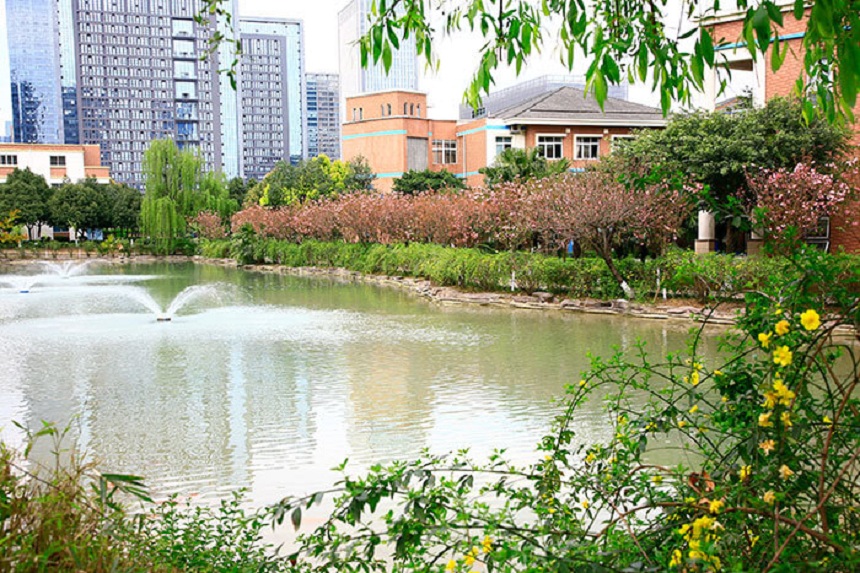 成都美視國際學校網(wǎng)址是什么？