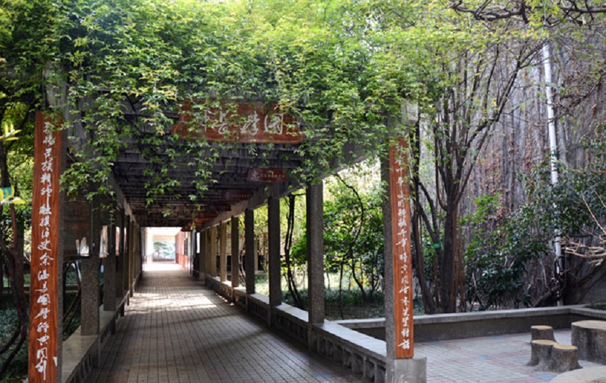 成都玉林中學(xué)網(wǎng)址在是什么？