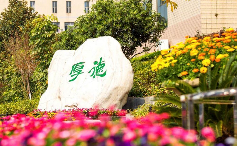 綿陽(yáng)外國(guó)語(yǔ)學(xué)校學(xué)費(fèi)大概是多少？