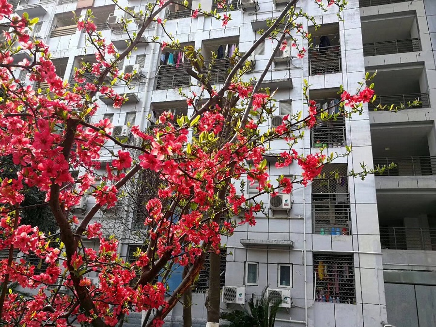綿陽南山中學(xué)是一所公辦的高中吧？