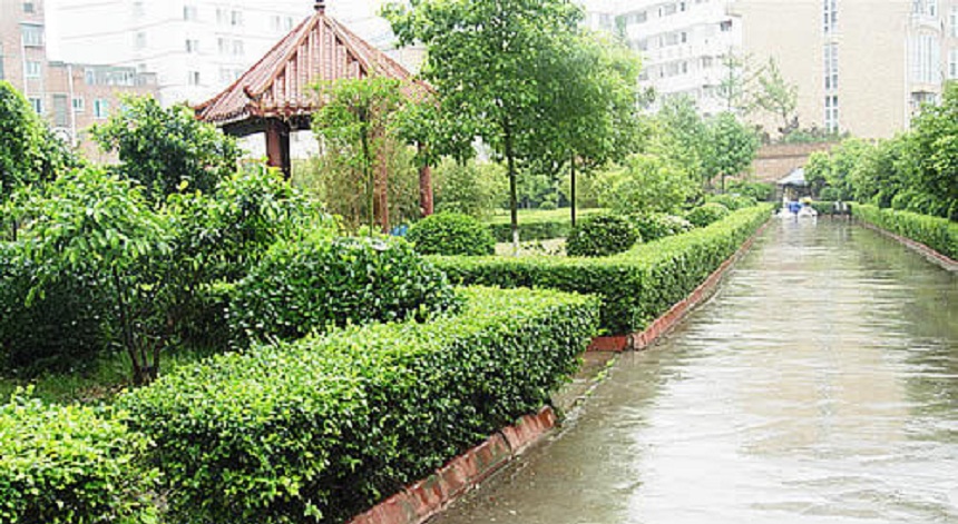 華興中學(xué)環(huán)境好不好？