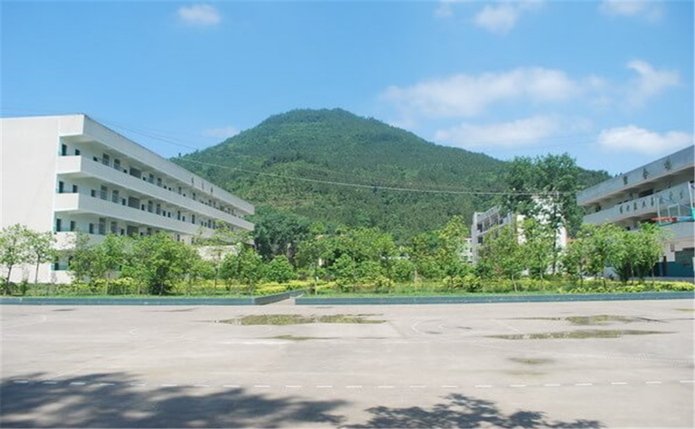 金山中學(xué)學(xué)校環(huán)境如何？