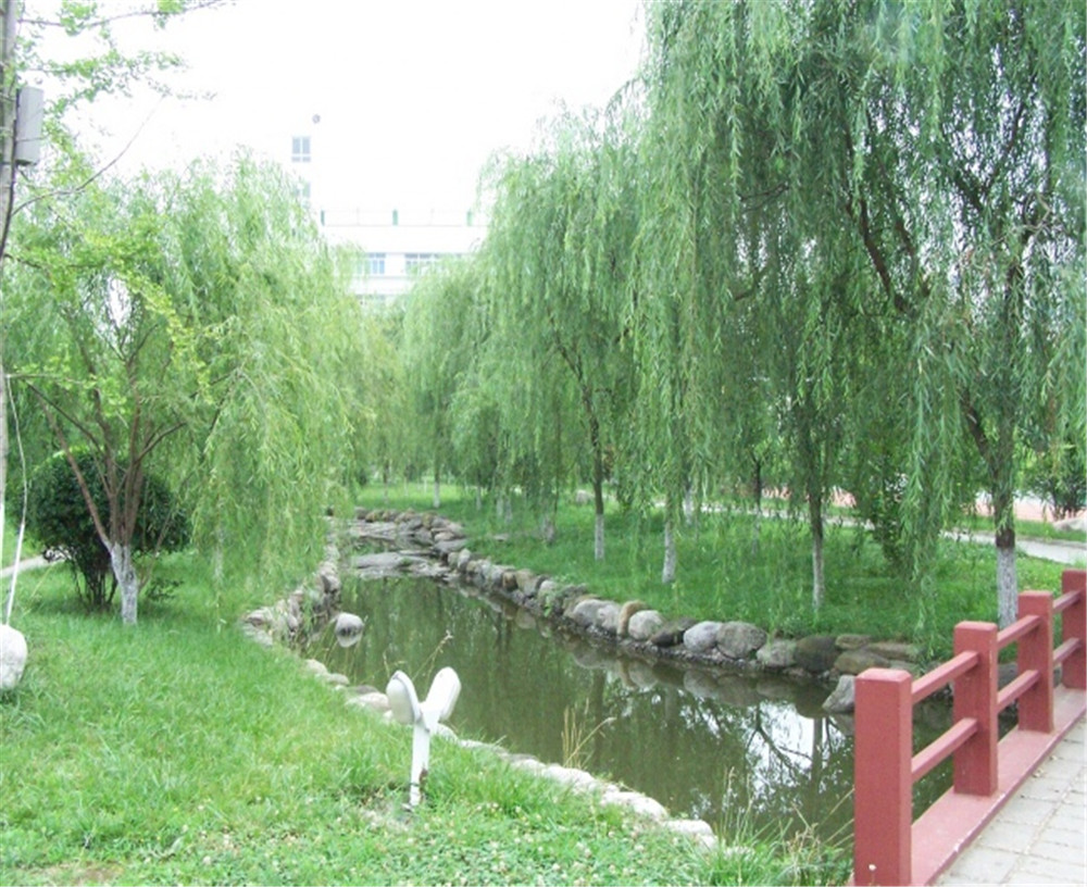 廣元外國語2020年學(xué)校招生分?jǐn)?shù)公布了嗎？