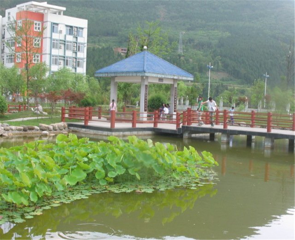 廣元外國(guó)語(yǔ)學(xué)校2020年學(xué)校招生簡(jiǎn)章公布了嗎？