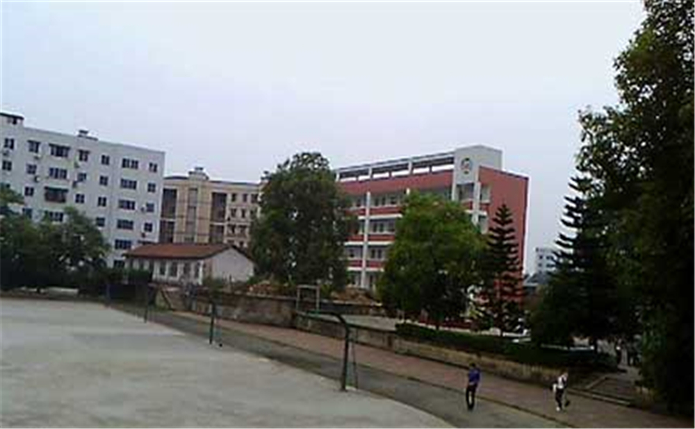 內(nèi)江十中2020年學(xué)校學(xué)費(fèi)多少錢一年？