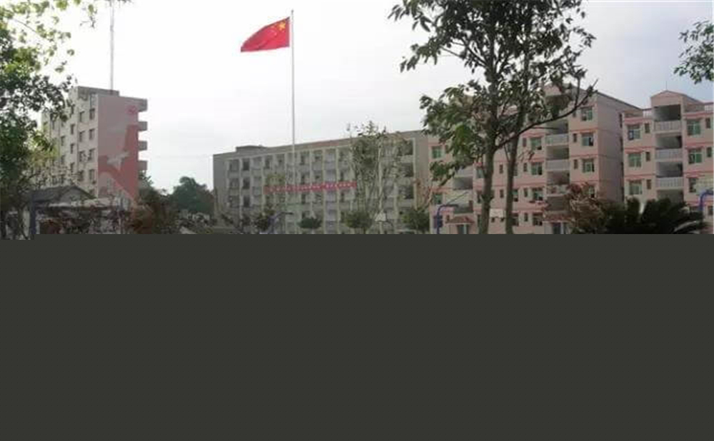 內(nèi)江市第十一中學(xué)學(xué)校環(huán)境怎么樣？
