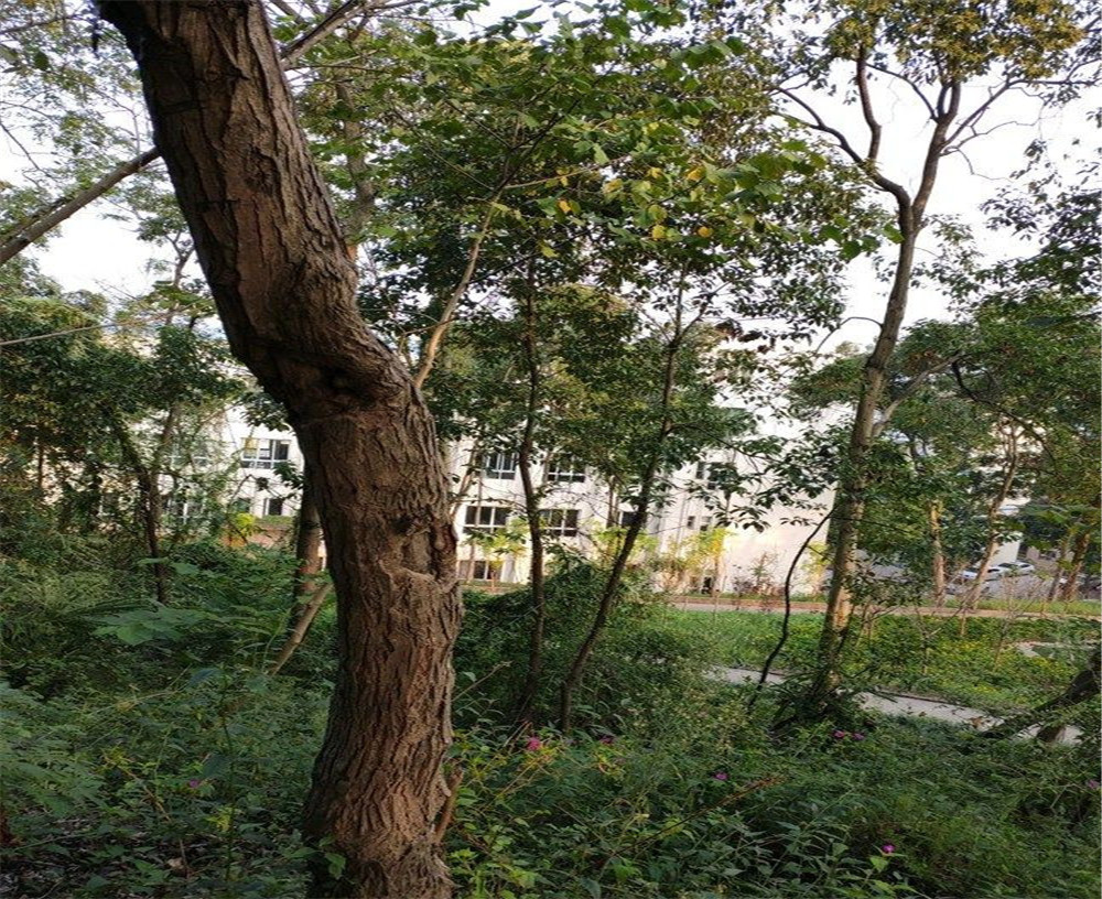 蒲家中學(xué)的詳細(xì)地址在什么地方？