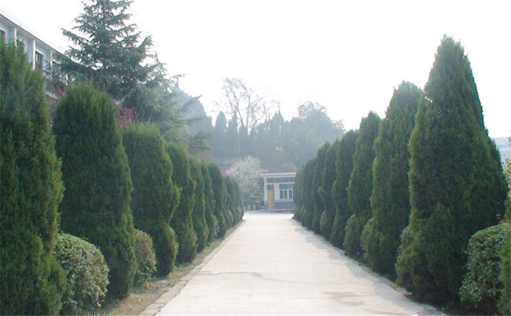 建興中學學校環(huán)境怎么樣？