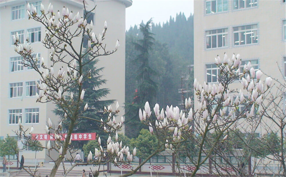 建興中學(xué)學(xué)校詳細(xì)地址在什么地方？