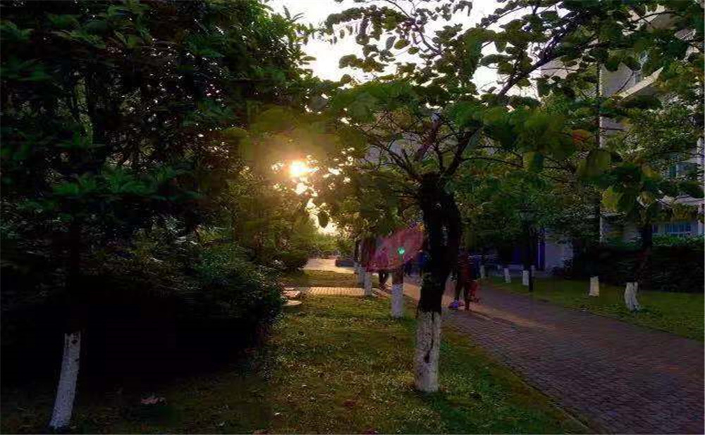 成都成飛中學升學率怎么樣？