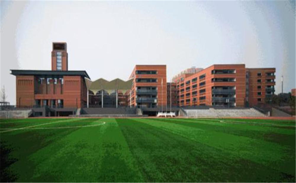成都實外新都五龍山學(xué)校的高考升學(xué)率是多少？