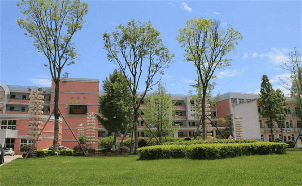 成都市籍田中學的老師怎么樣？