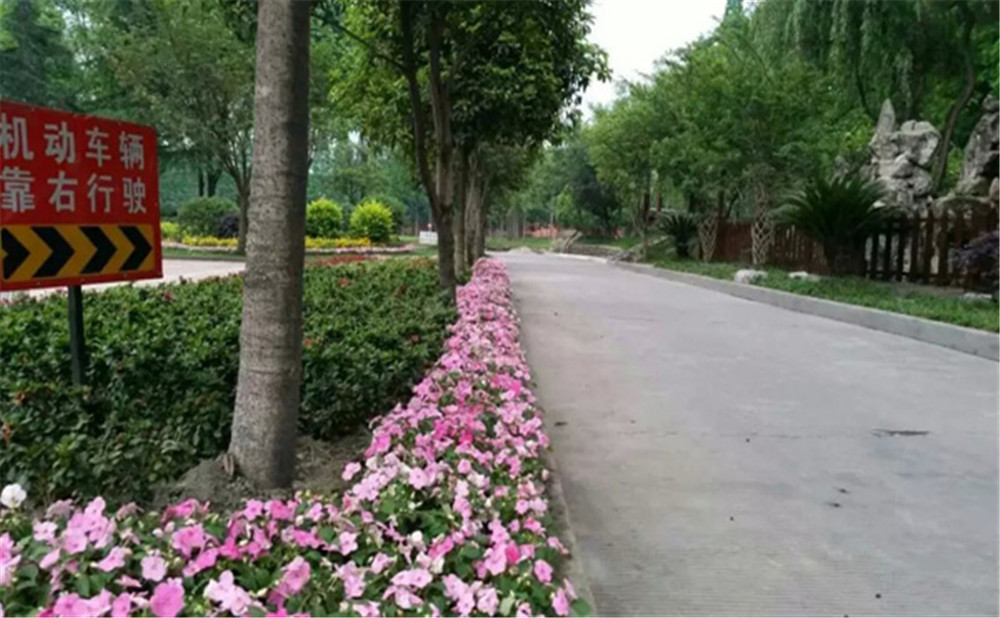 玉壘學(xué)校的老師怎么樣？