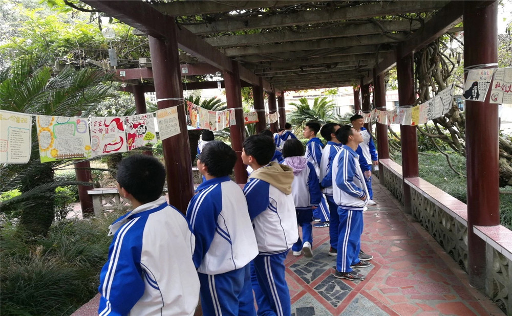 棠湖中學(xué)錄取分數(shù)是多少？