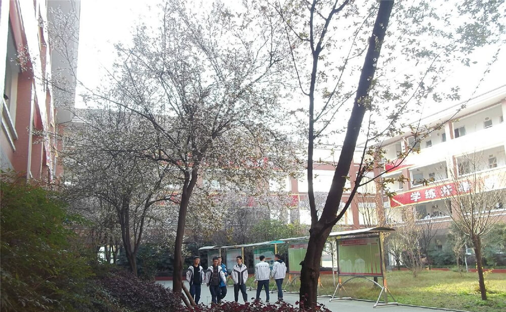 崇慶中學(xué)的去年錄取分?jǐn)?shù)線是多少分？