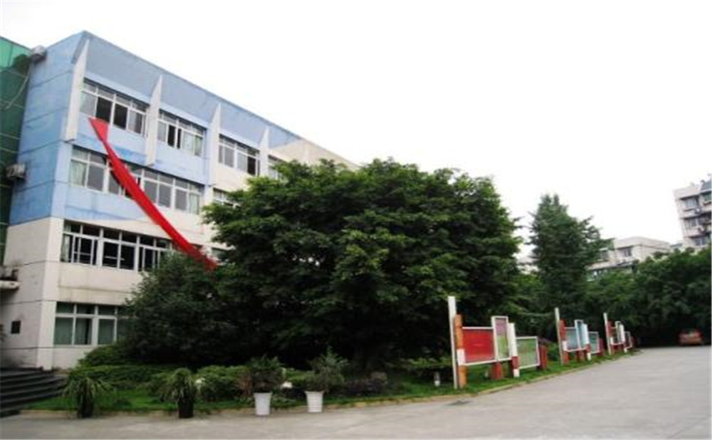 四川師范大學(xué)實(shí)驗(yàn)外國(guó)語(yǔ)學(xué)校2020年招生標(biāo)準(zhǔn)是什么？