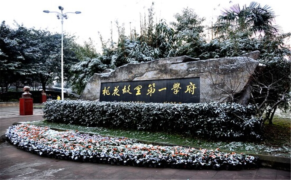 成都市龍泉中學(xué)的升學(xué)率是多少？