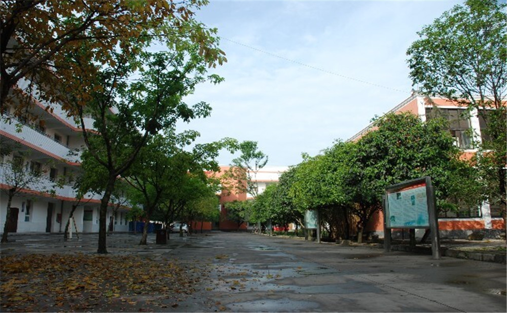 大邑中學(xué)近三年的錄取分數(shù)是多少？