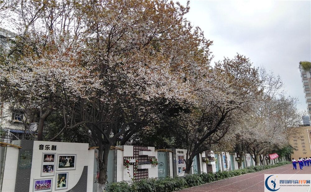 成都大學附屬中學的高中住宿好不好？