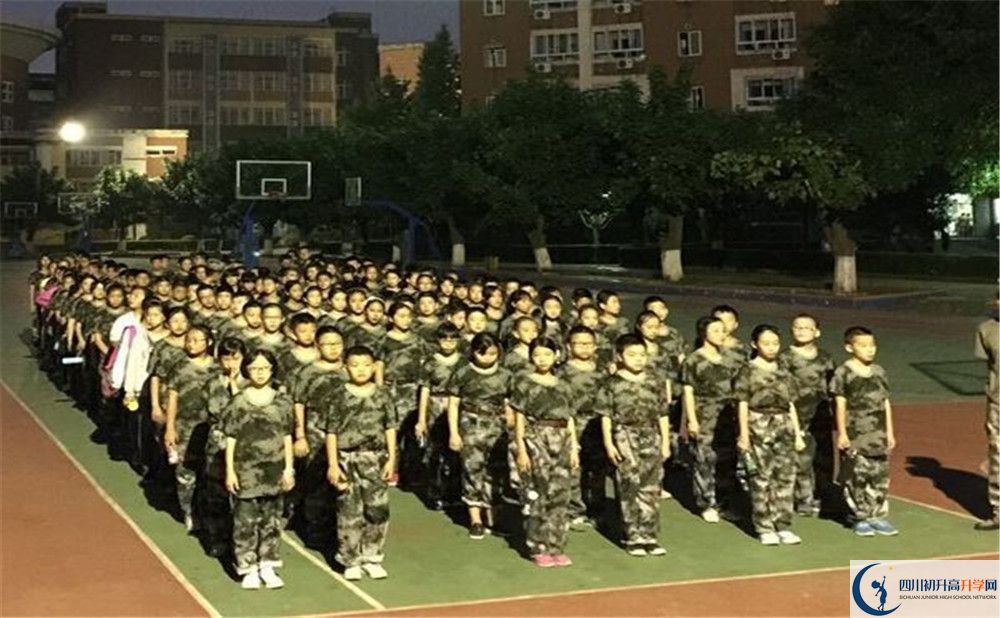 考樹德博瑞實驗學(xué)校的分?jǐn)?shù)線是多少？