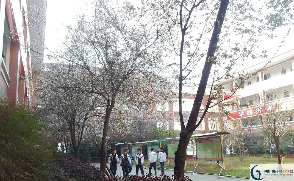 成都三十六中的分?jǐn)?shù)線大概是多少分？