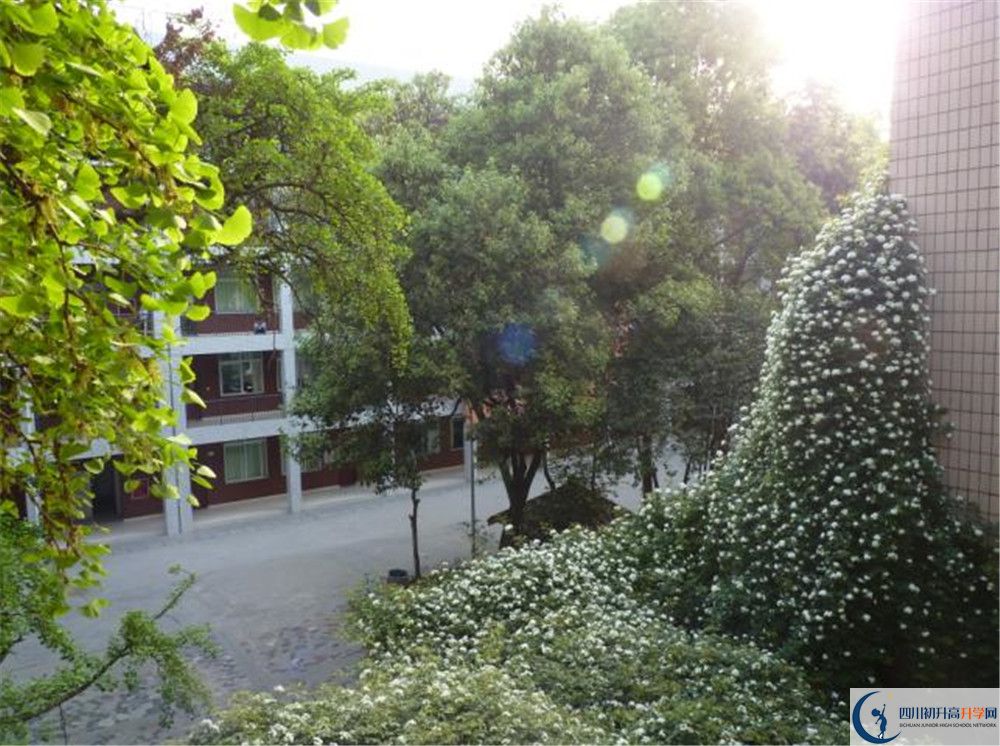 四川師范大學實驗外國語學校2020年錄取條件是什么？