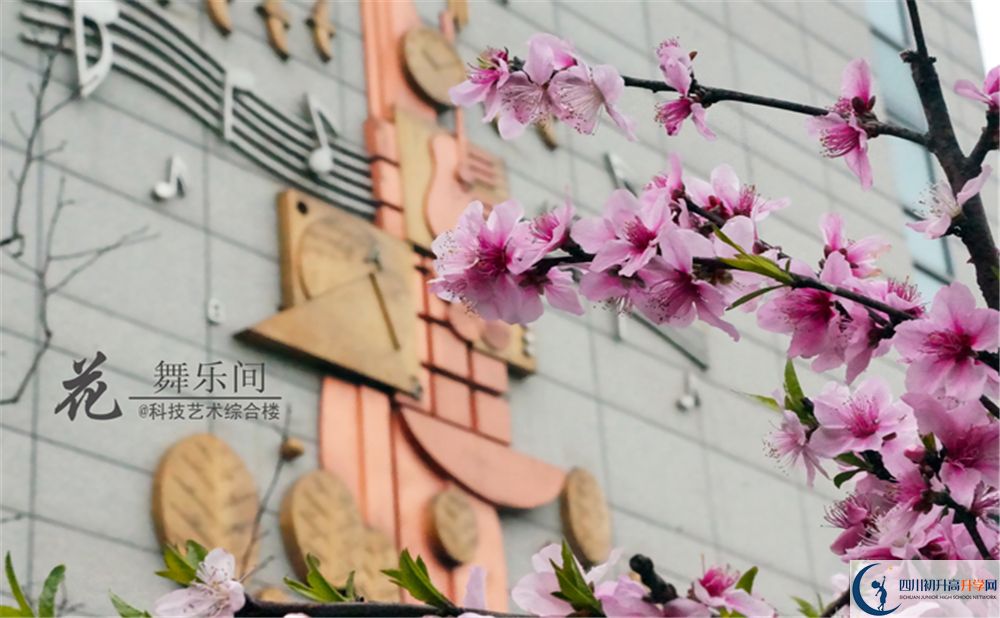 石室天府中學2020年外地招生考試時間是多久？
