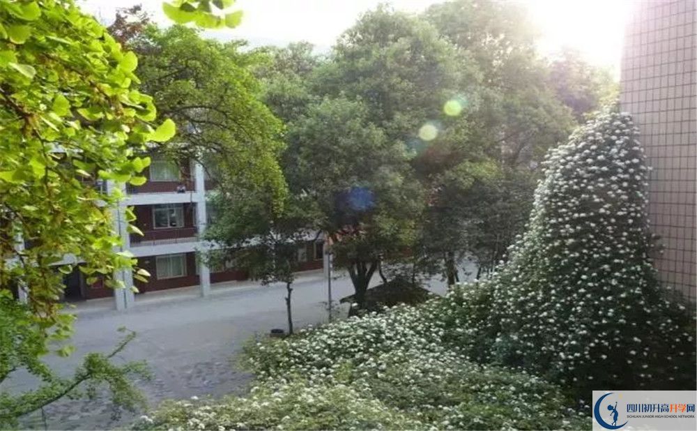 石室聯(lián)合中學(xué)蜀華分校2020年高一入學(xué)考試時(shí)間是多久？