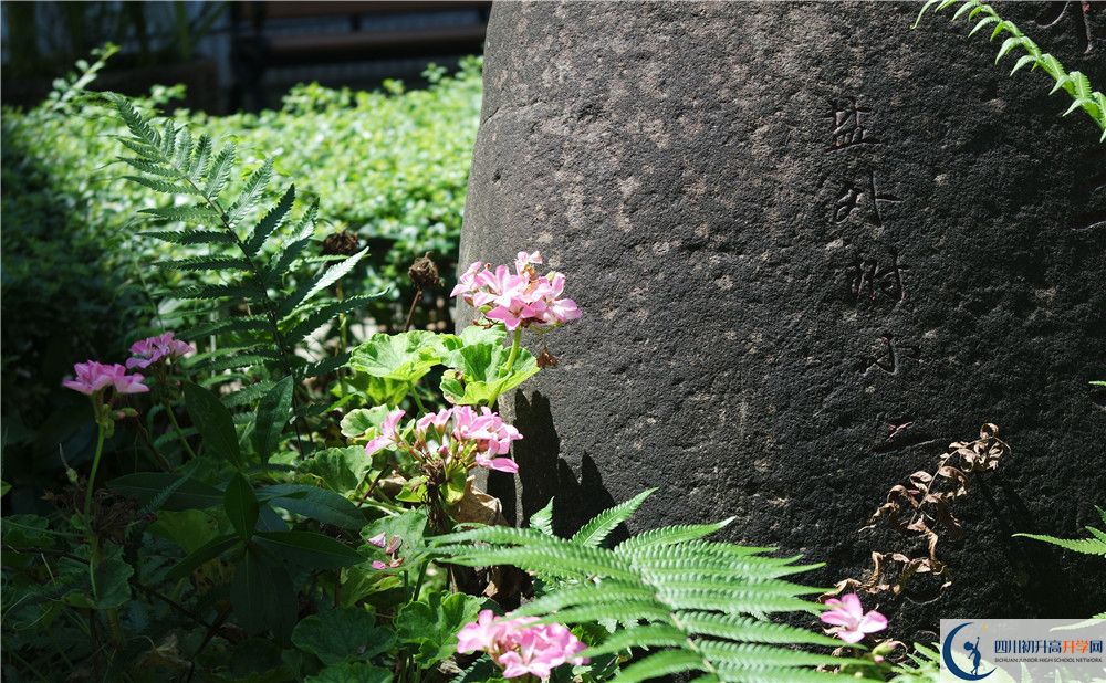石室聯(lián)合中學(xué)蜀華分校住宿費(fèi)用是多少？