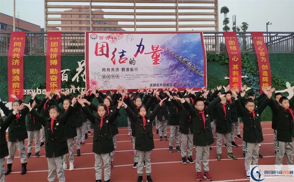 成都實外新都五龍山學校2020清華北大錄取學生是多少？