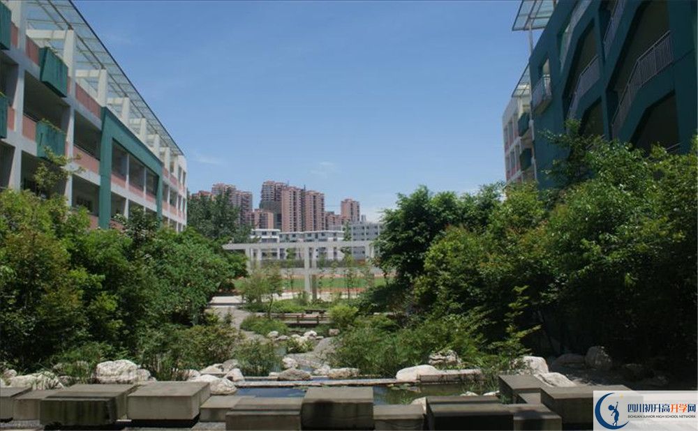 四川師范大學(xué)實(shí)驗(yàn)外國(guó)語(yǔ)學(xué)校2020年保送清華北大的人數(shù)？