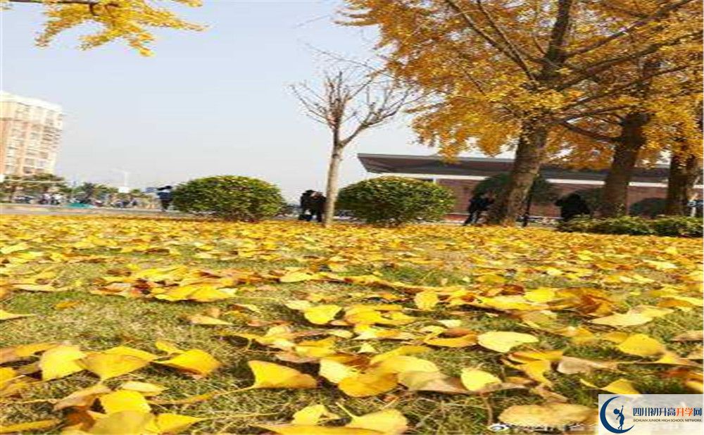 金堂實(shí)驗(yàn)中學(xué)高中住宿怎么樣？