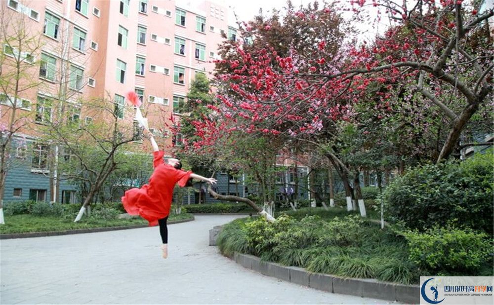 簡陽中學2020年保送清華北大的人數(shù)是多少？