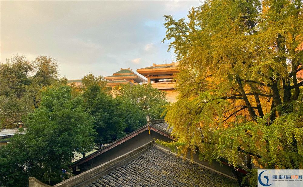 成都石室中學(xué)位置在哪里？