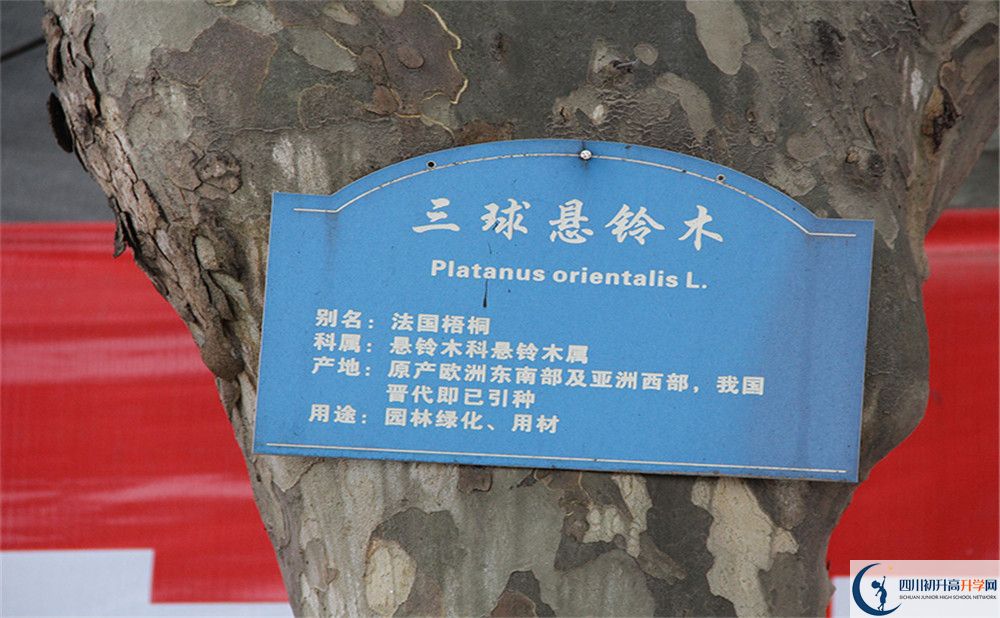 2020成都市第四十九中學(xué)高考重點(diǎn)大學(xué)升學(xué)率高嗎？