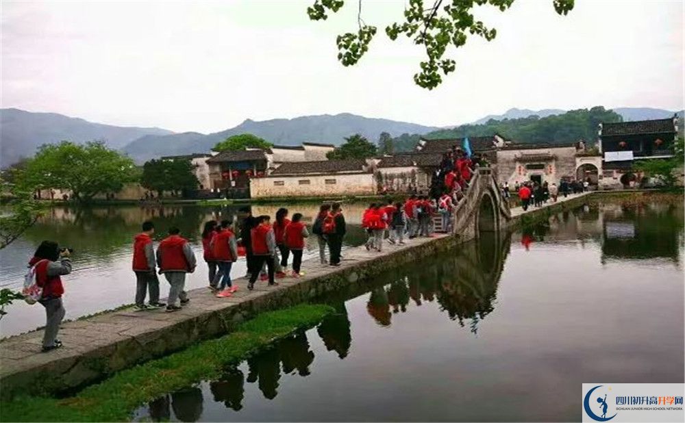 2020成都市泡桐樹(shù)中學(xué)國(guó)際部入學(xué)多少分？