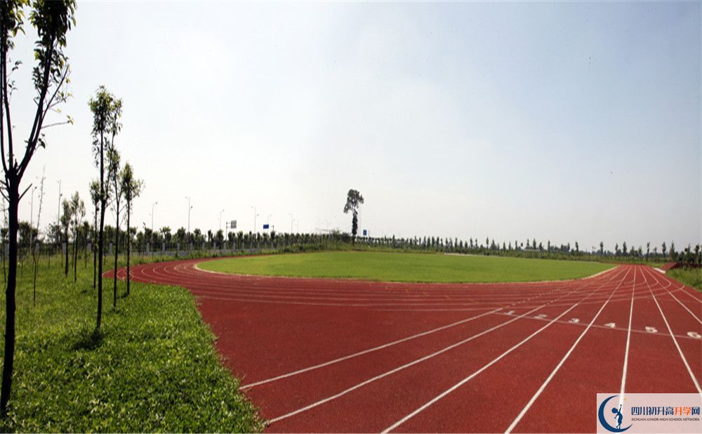 2020川師大附屬第三實(shí)驗(yàn)中學(xué)高考重點(diǎn)大學(xué)升學(xué)率是多少？