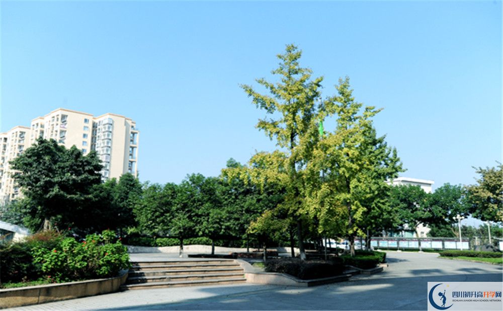 2020成都棠湖外國語學校期末試卷數(shù)學在哪里看？