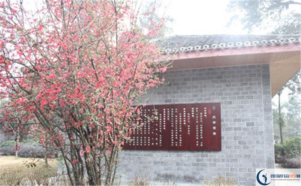 彭州中學(xué)高中平行班怎么樣？