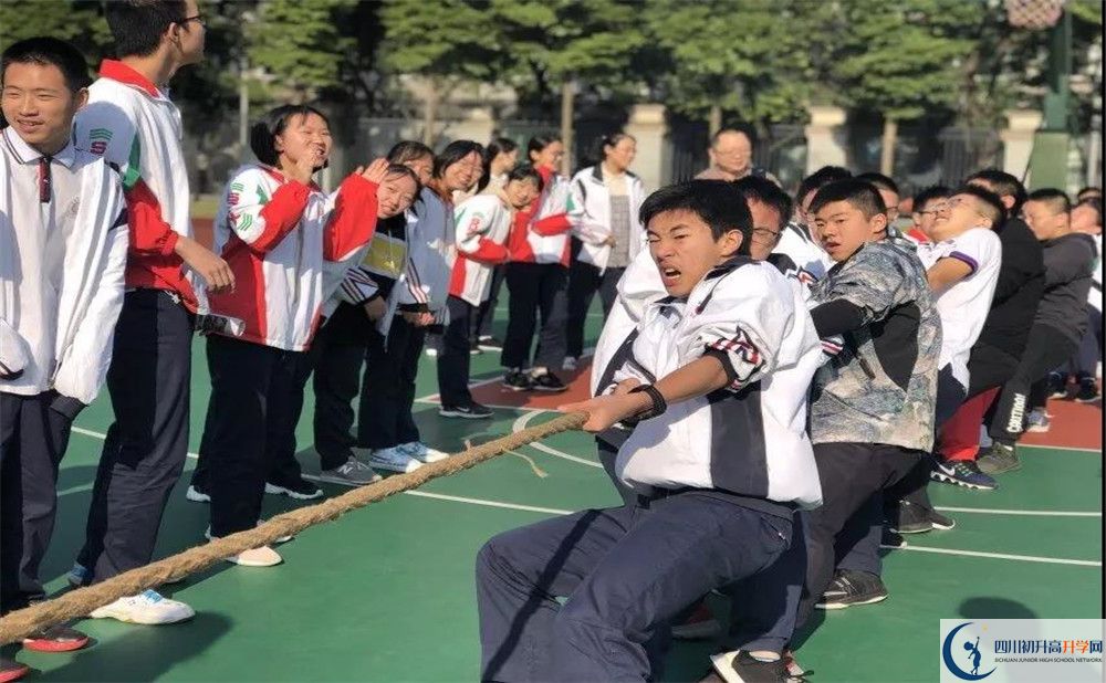 成都樹德中學面向全國招生嗎？