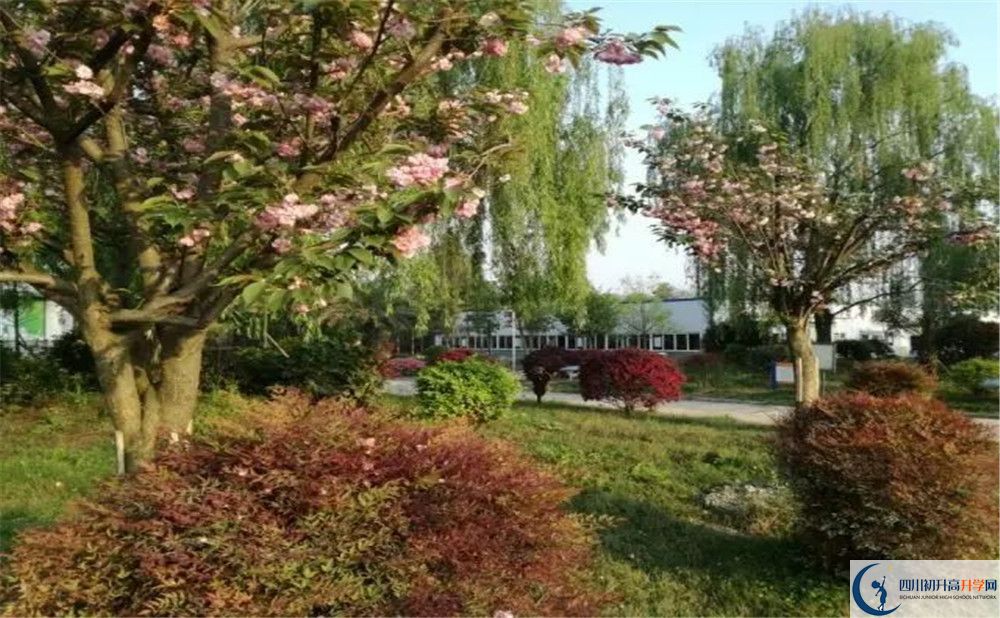 成都樹(shù)德中學(xué)光華校區(qū)實(shí)驗(yàn)班學(xué)費(fèi)貴嗎？