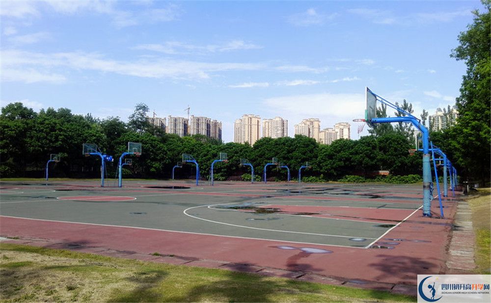 成都實(shí)驗(yàn)外國語學(xué)校（西區(qū)）補(bǔ)課嗎？