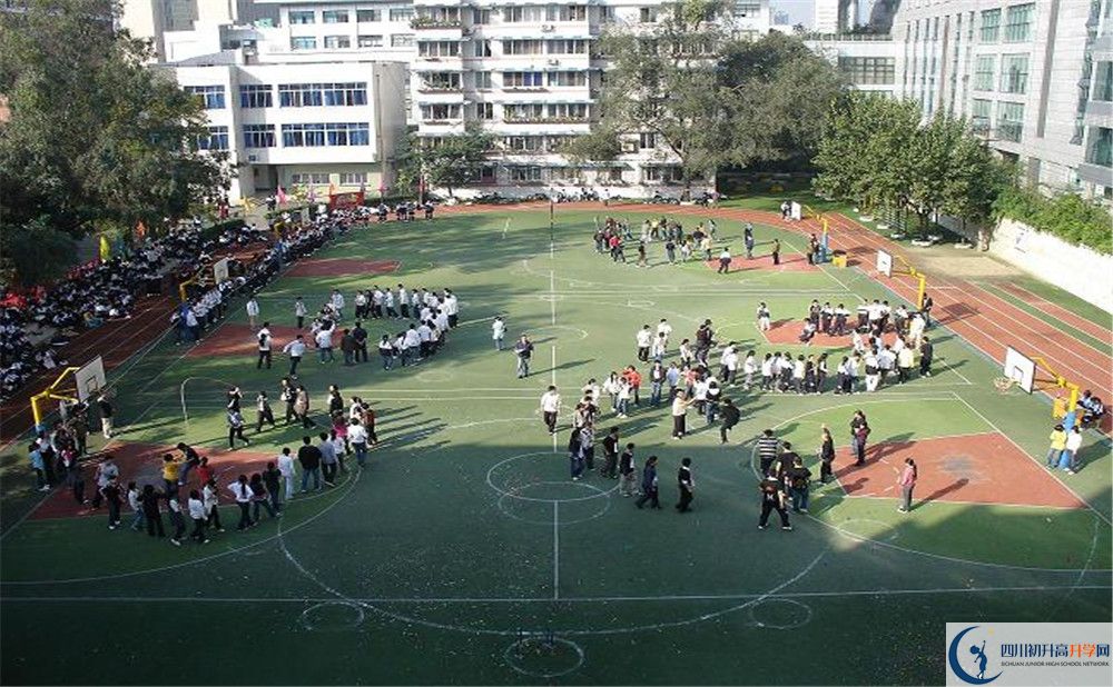 樹德博瑞實驗學校在校學生總?cè)藬?shù)是多少？
