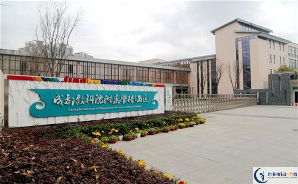成都教科院附屬學(xué)校2020年高考人數(shù)是多少？
