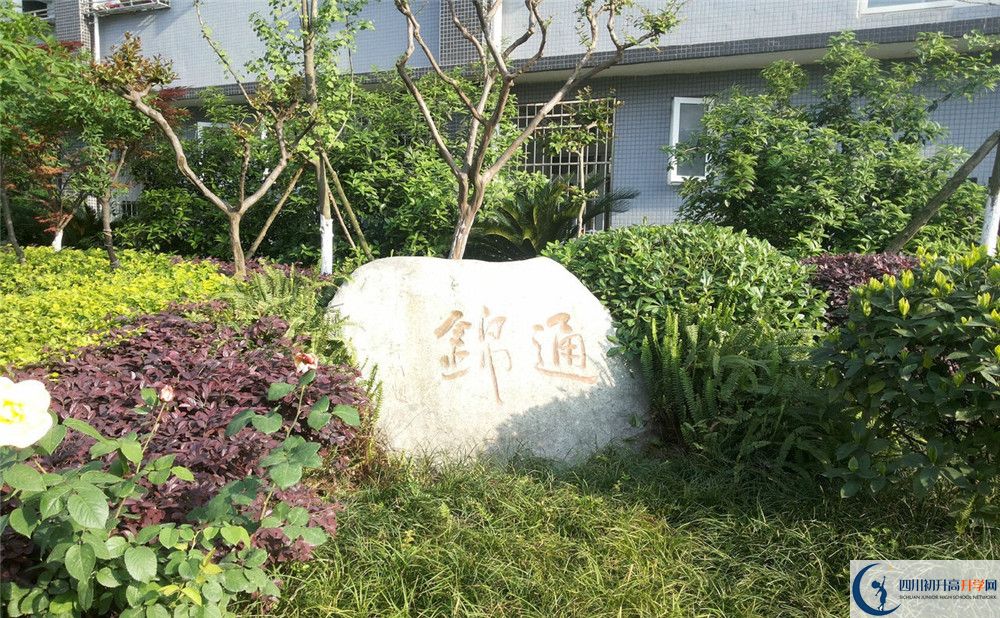 通錦中學(xué)2020年開學(xué)時間安排是怎樣的？